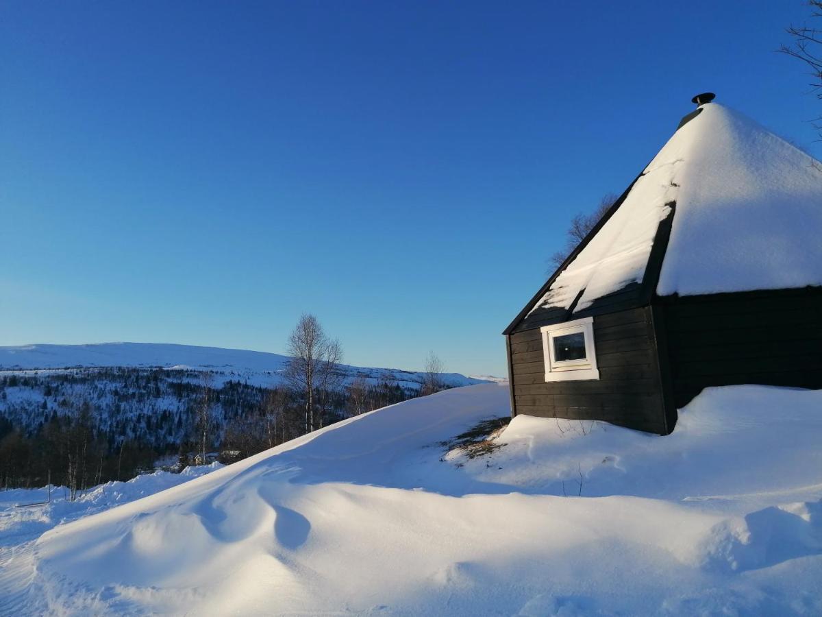 Appartement Hessdalen Ufocamp à Vårhus Extérieur photo