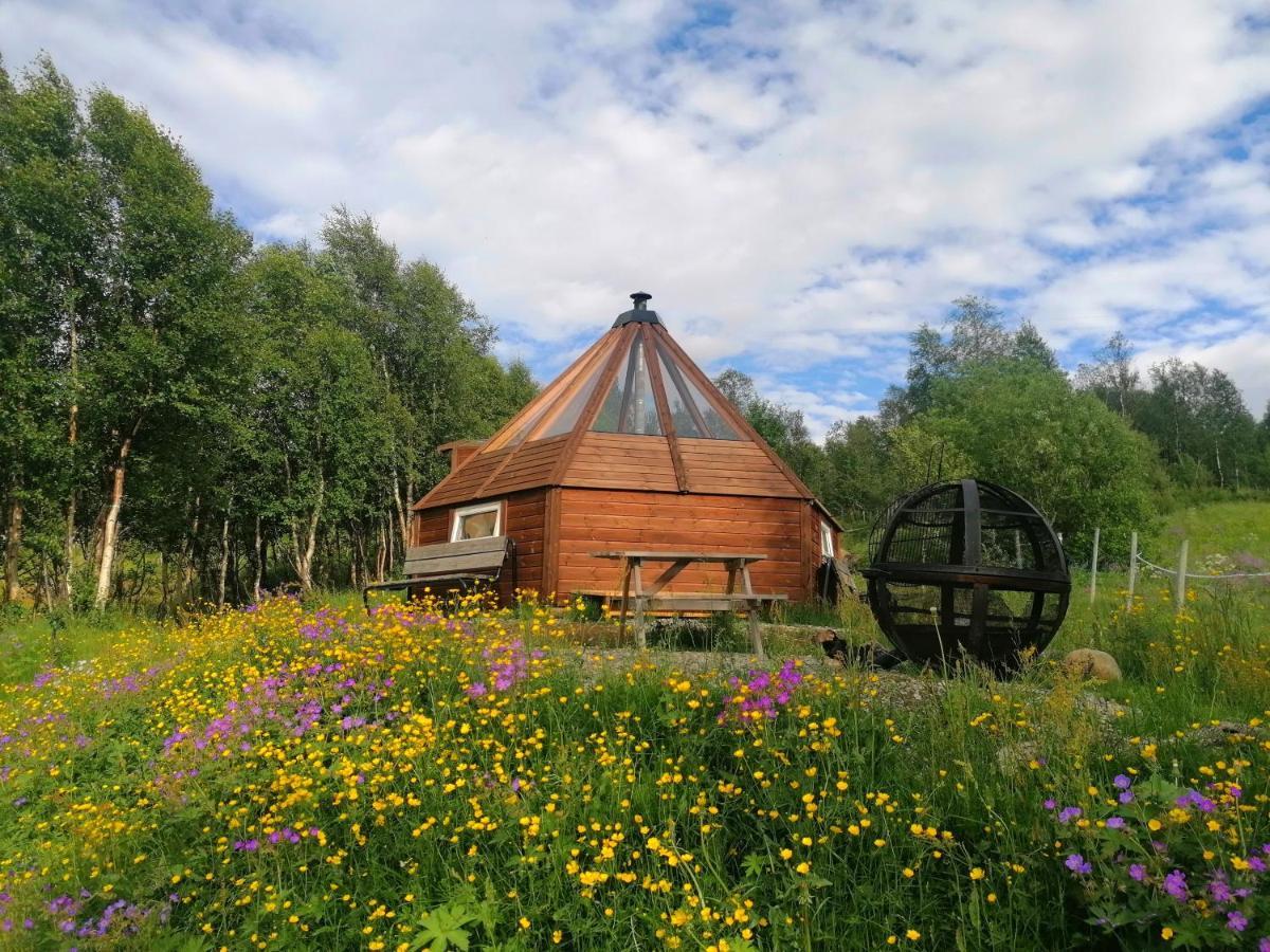 Appartement Hessdalen Ufocamp à Vårhus Extérieur photo
