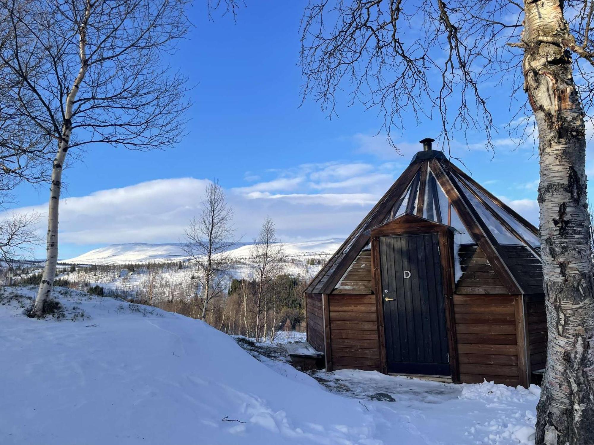 Appartement Hessdalen Ufocamp à Vårhus Chambre photo